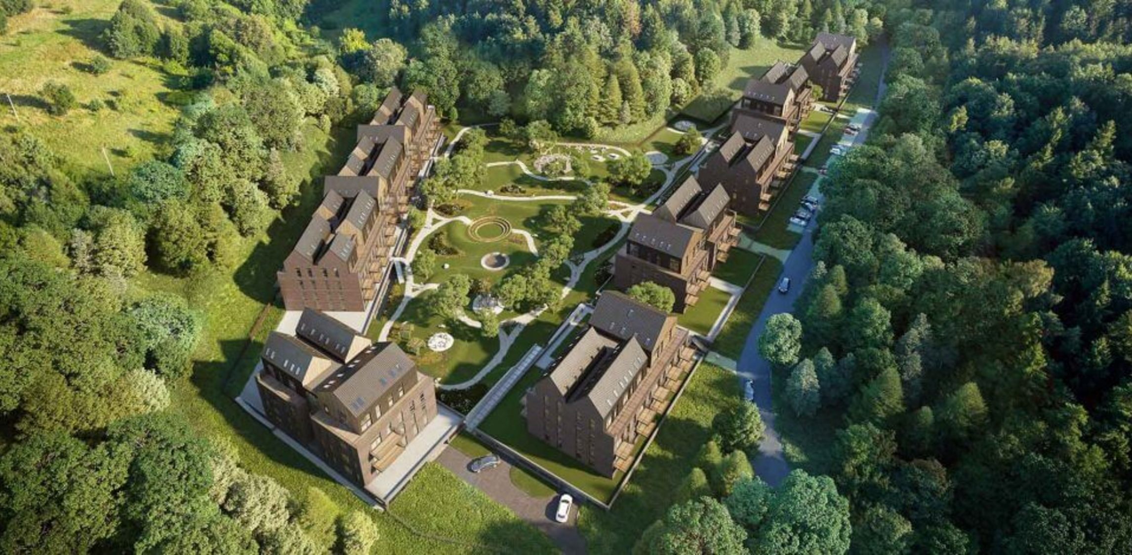 Miško ardai vizualizacija